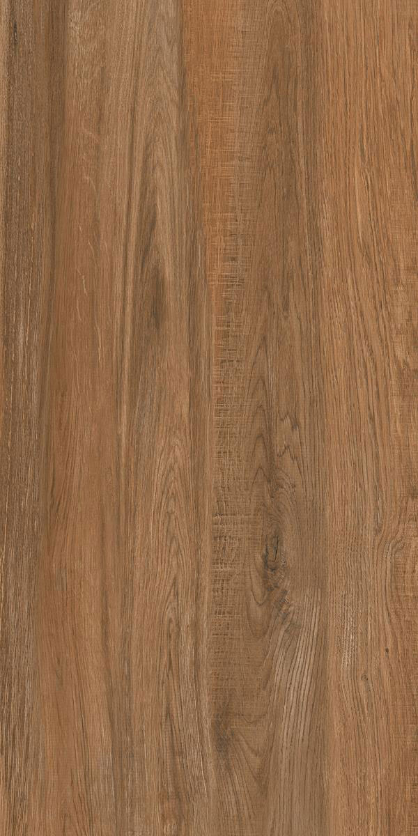 SANTANA OAK F1